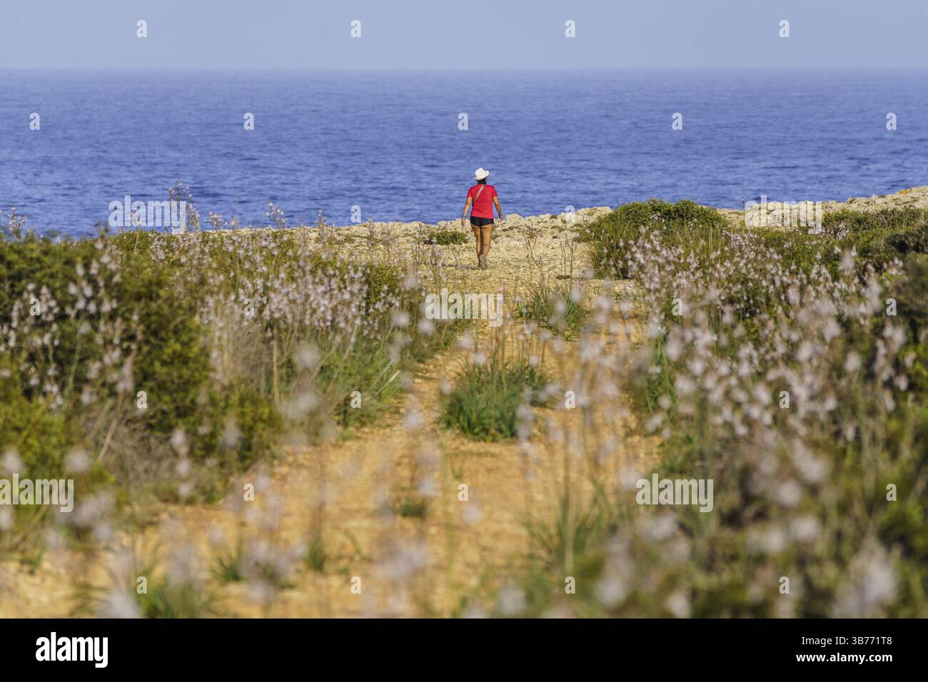 Wanderer auf den Klippen, Cala Pilota, Manacor, Mallorca, Balearen, Spanien, Europa Stockfoto