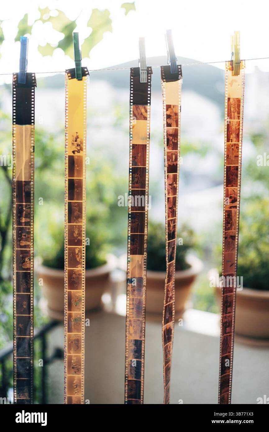 Der Filmstreifen 135 wird auf Wäscheklammern getrocknet. Vintage Hintergrund der Filmfotografie. Stockfoto