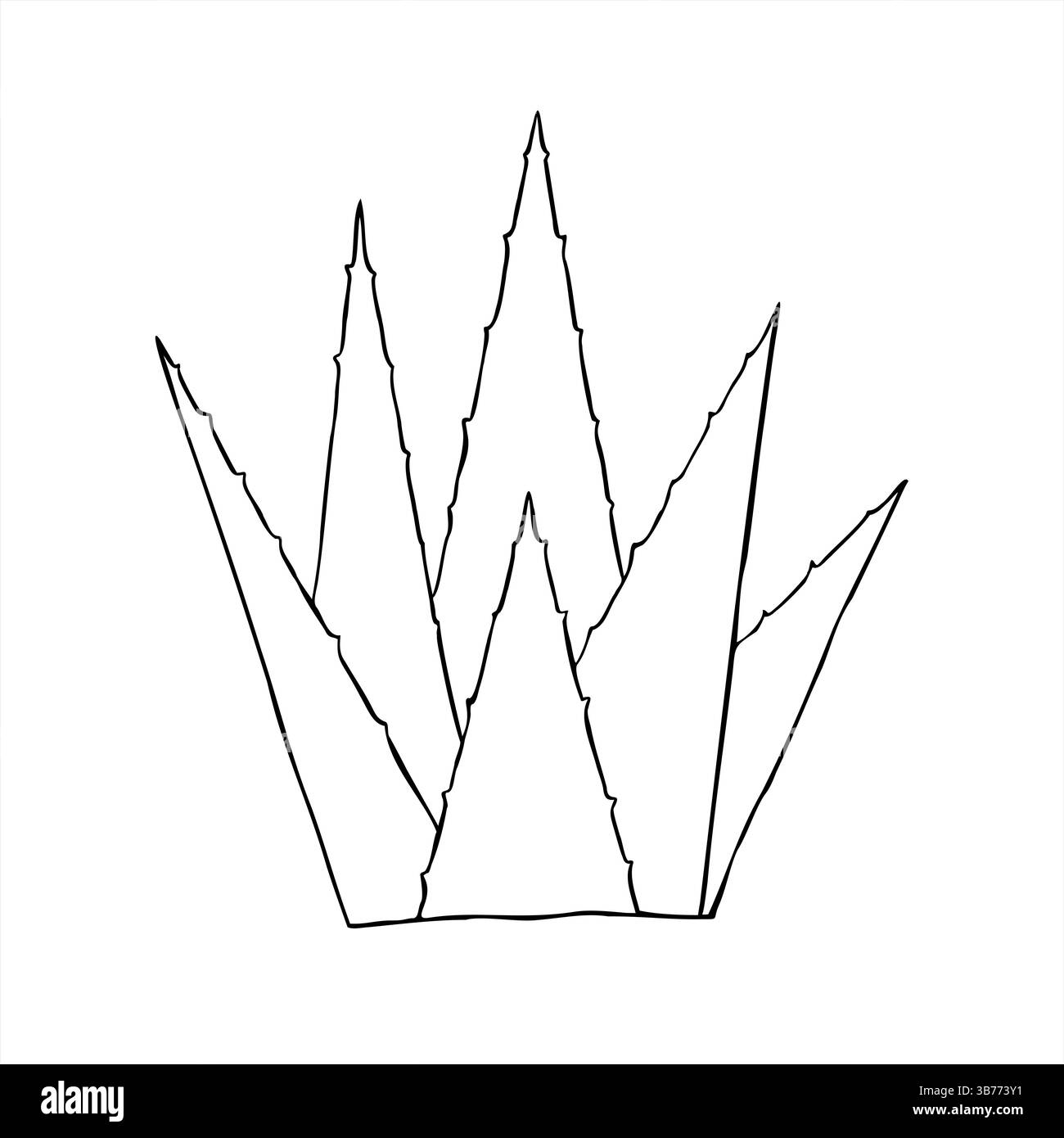 Abstrakte Aloe Vera Pflanze Vektor Linie Tinte Illustration in schwarz-weiß. Agave Pflanze Skizze für Bio Hautpflege Verpackung, Wellness Blogs, Medizin Stock Vektor
