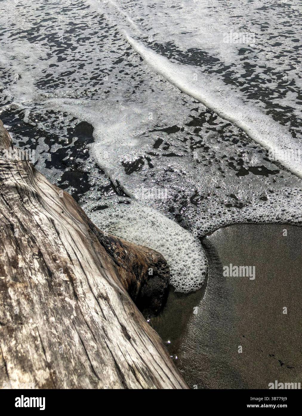Der Goat Rock Beach liegt an der kalifornischen Küste im Sonoma County. - Smartphone-aufgenommenes Stockfoto