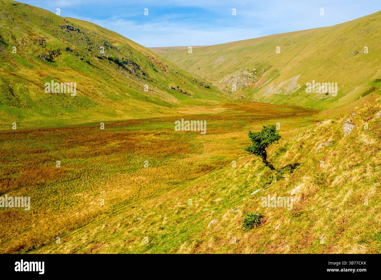 Fordingdale Bottom ein Tal in den High Street Hills im Lake District, Cumbria, Großbritannien Stockfoto