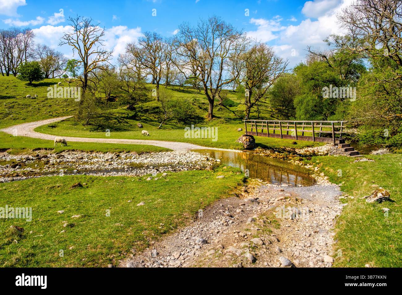 Typische ländliche Landschaft mit einer furt durch einen Fluss im Eden Valley, Cumbria Stockfoto