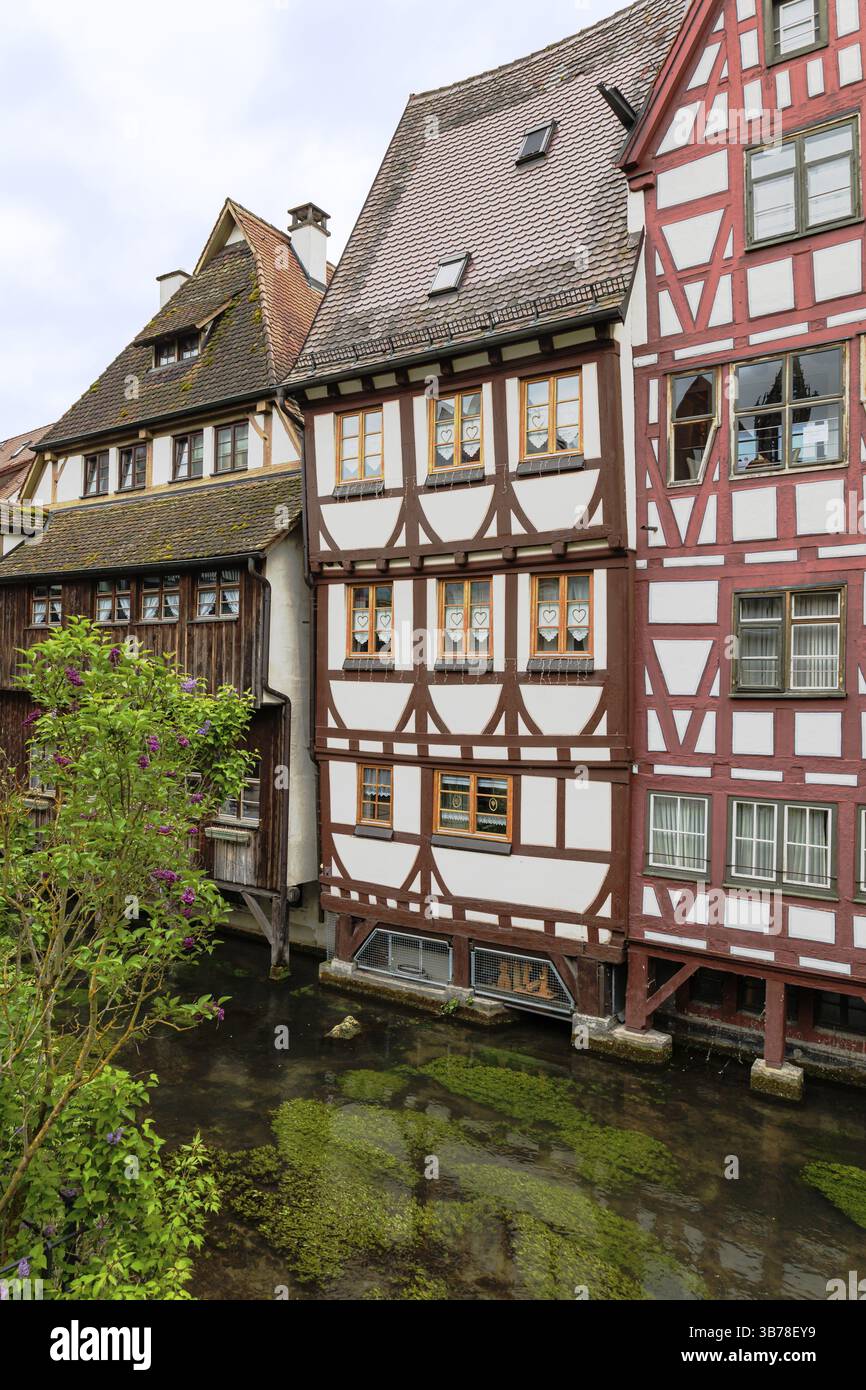 Fachwerkkunst am Ufer des Blau, Ulms Fischerviertel, Stadtfoto Stockfoto