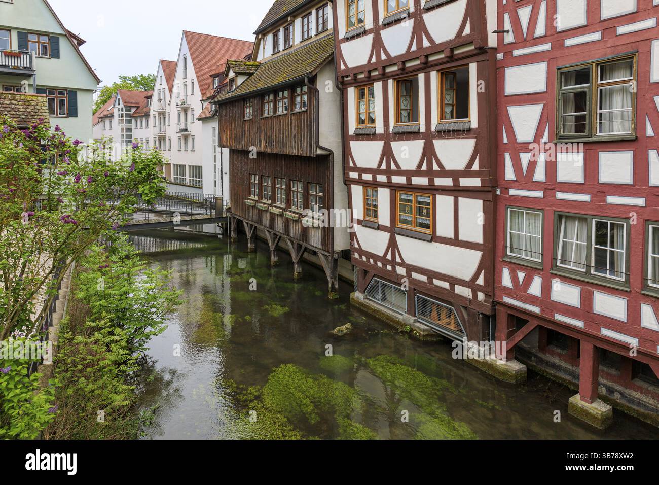 Fachwerkkunst am Ufer des Blau, Ulms Fischerviertel, Stadtfoto Stockfoto