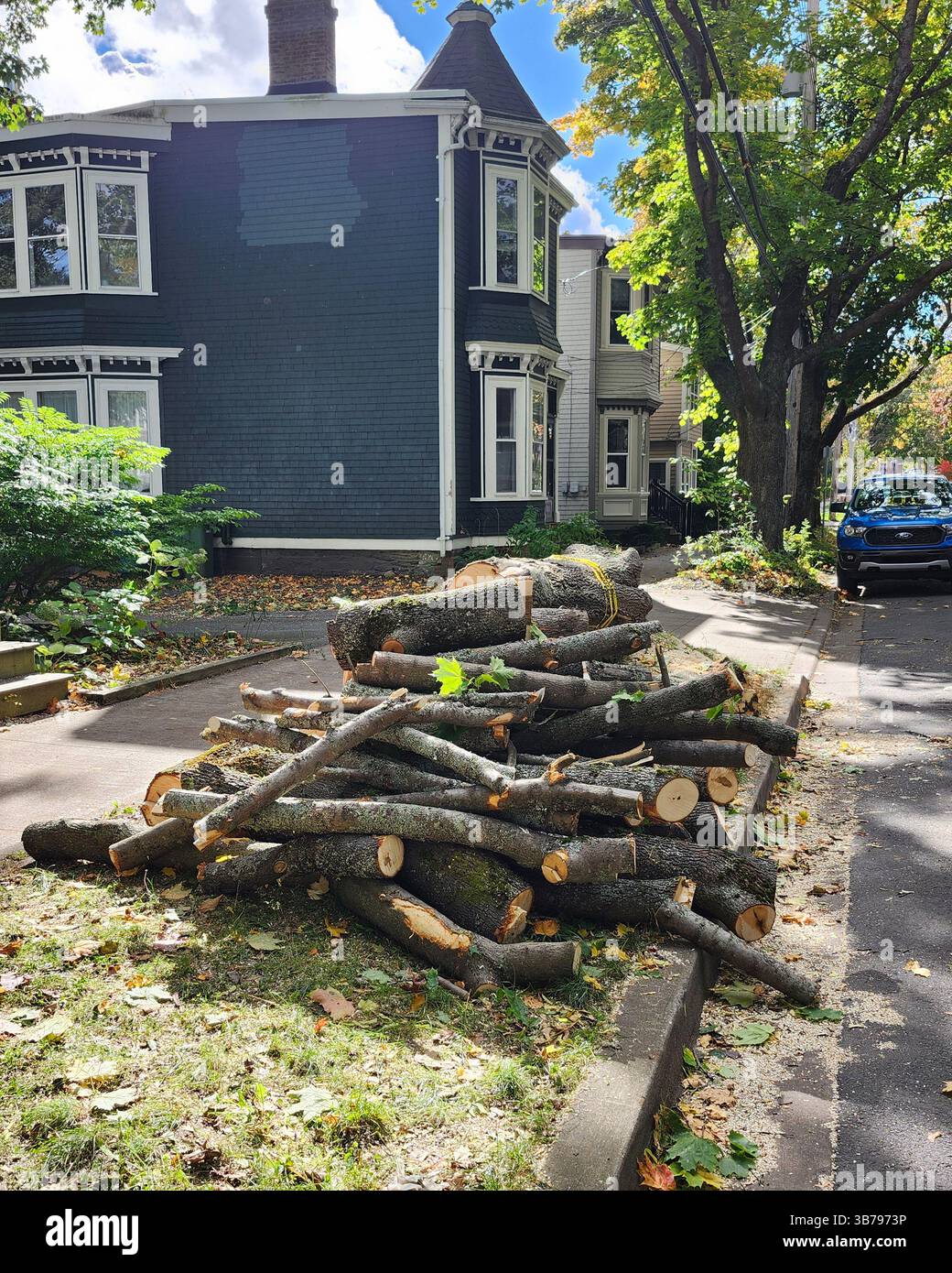 Holzhaufen von einem abgeholzten städtischen Baum am Straßenrand, mit traditionellem Haus im Hintergrund - Smartphone-aufgenommenes Stockfoto