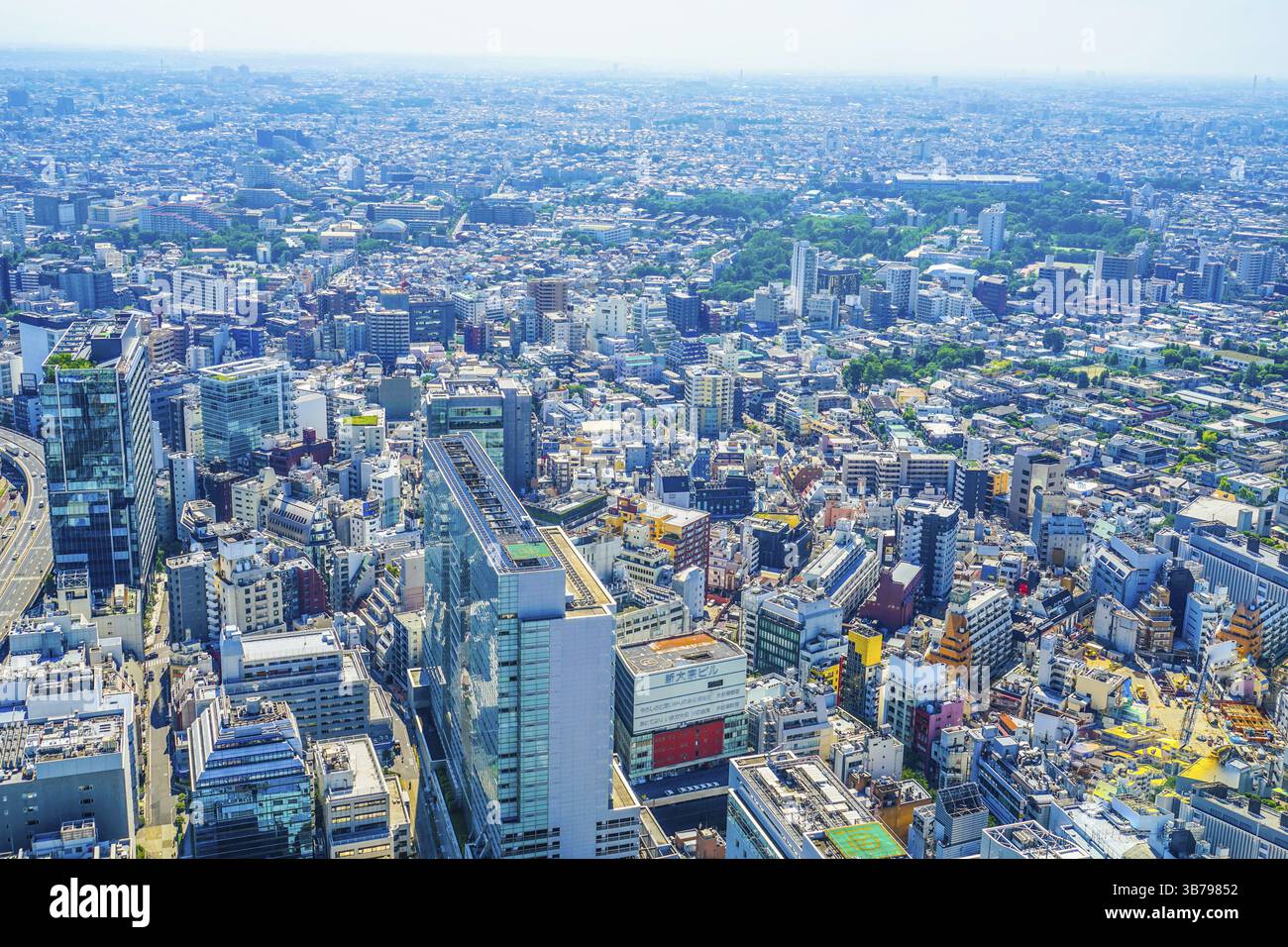 Der Blick vom Shibuya Sky Observatorium. Drehort: Metropolregion Tokio Stockfoto