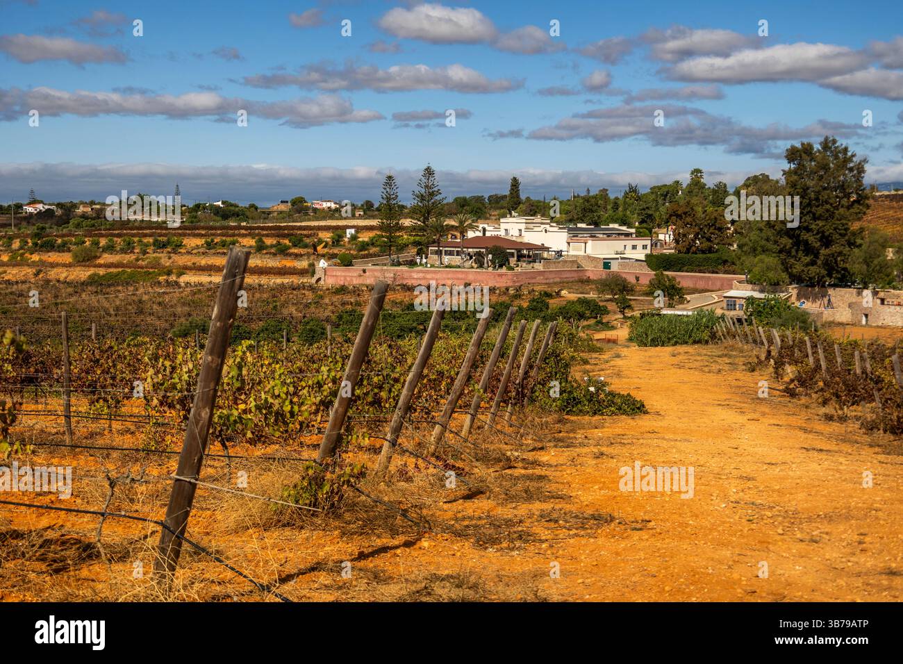 ESTOMBAR, PORTUGAL - 5. OKTOBER 2024: Landschaftsansicht des Weinguts 'Quinta dos Vales' in der Algarve. Stockfoto