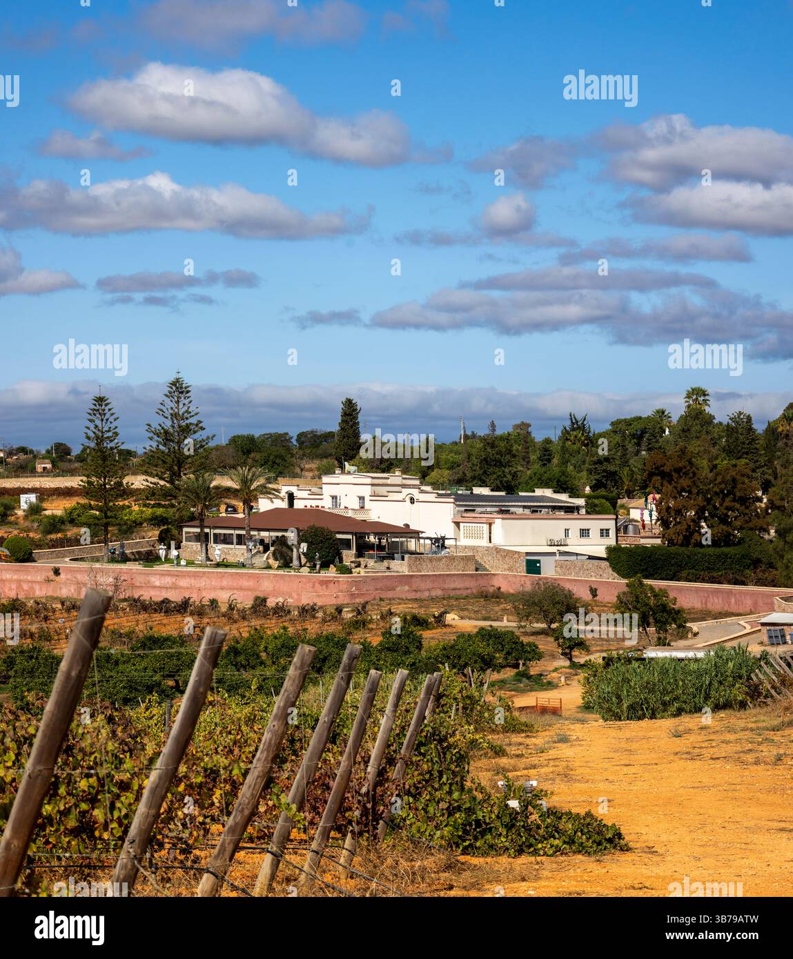 ESTOMBAR, PORTUGAL - 5. OKTOBER 2024: Landschaftsansicht des Weinguts 'Quinta dos Vales' in der Algarve. Stockfoto