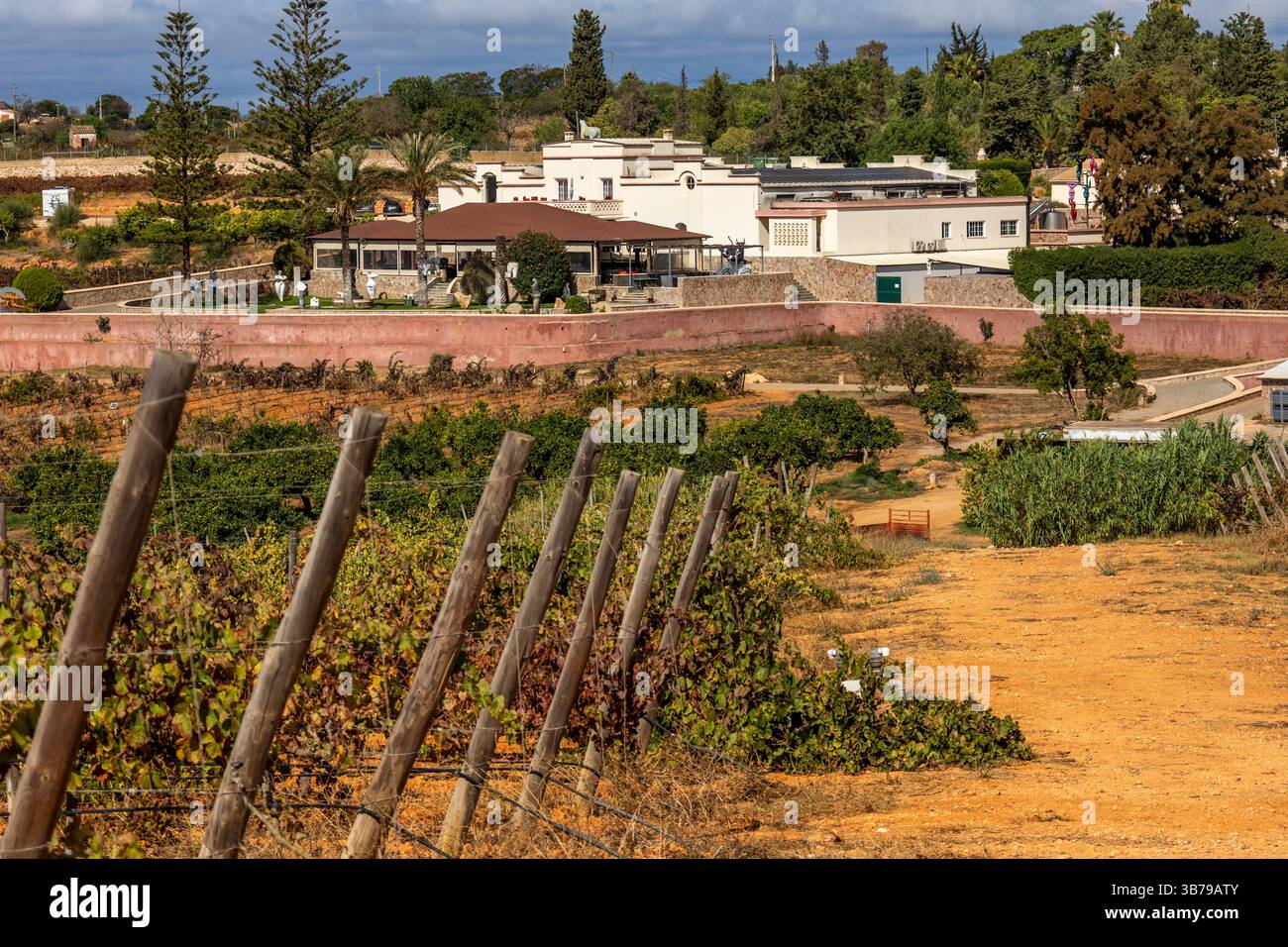 ESTOMBAR, PORTUGAL - 5. OKTOBER 2024: Landschaftsansicht des Weinguts 'Quinta dos Vales' in der Algarve. Stockfoto