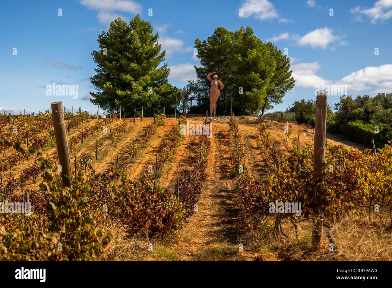ESTOMBAR, PORTUGAL - 5. OKTOBER 2024: Landschaftsansicht des Weinguts 'Quinta dos Vales' in der Algarve. Stockfoto