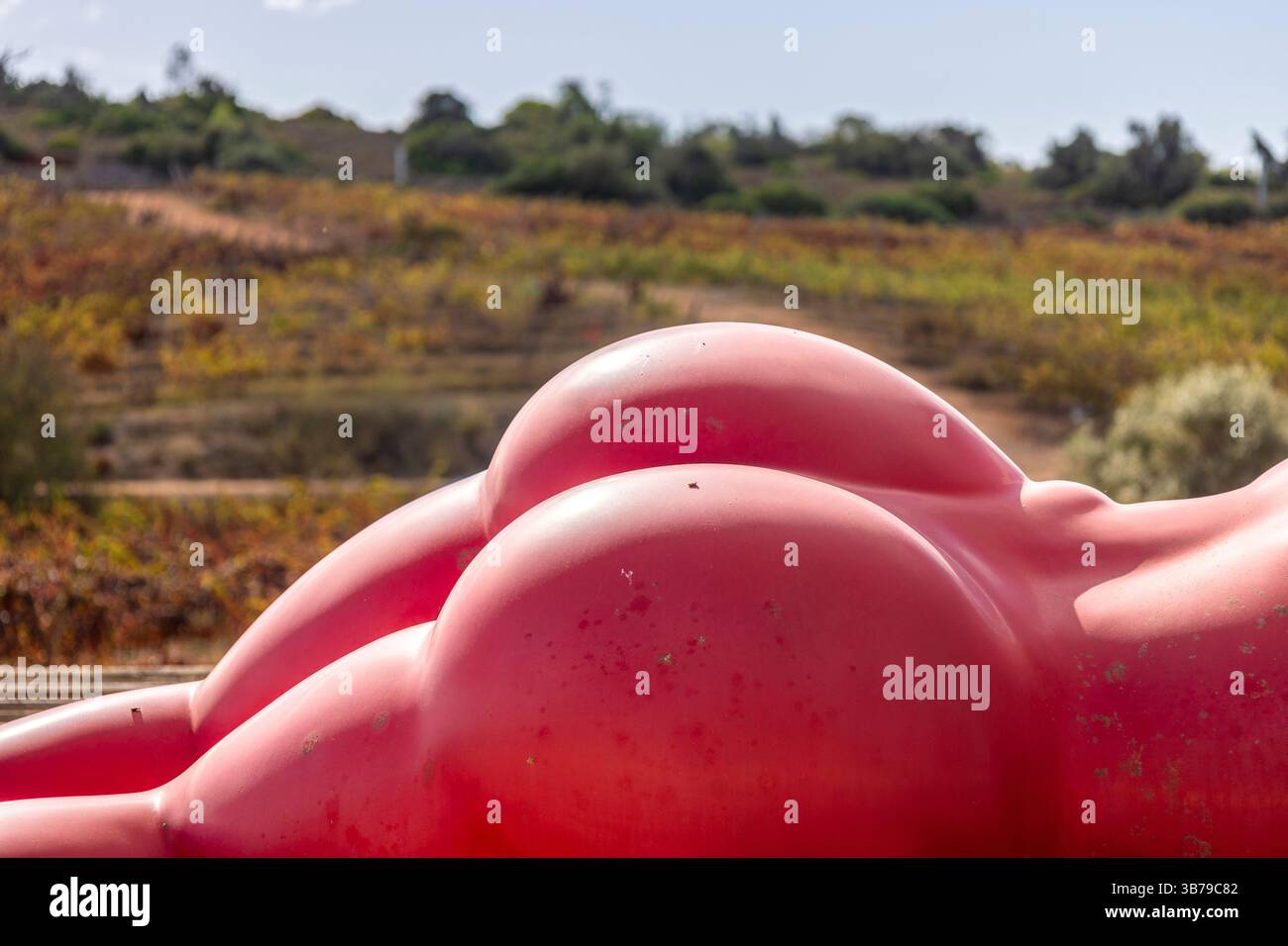 ESTOMBAR, PORTUGAL - 5. Oktober 2024: Moderne zeitgenössische weibliche Statuen aus Kunststein auf dem Weingut „Quinta dos Vales“. Stockfoto
