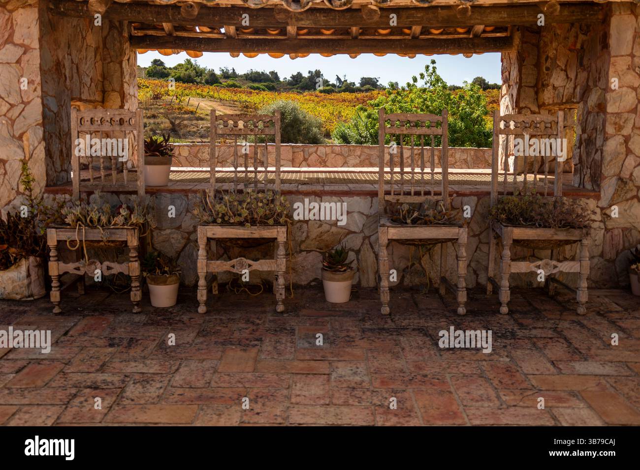ESTOMBAR, PORTUGAL - 5. OKTOBER 2024: Detailansicht des Weinguts „Quinta dos Vales“ in der Algarve. Stockfoto