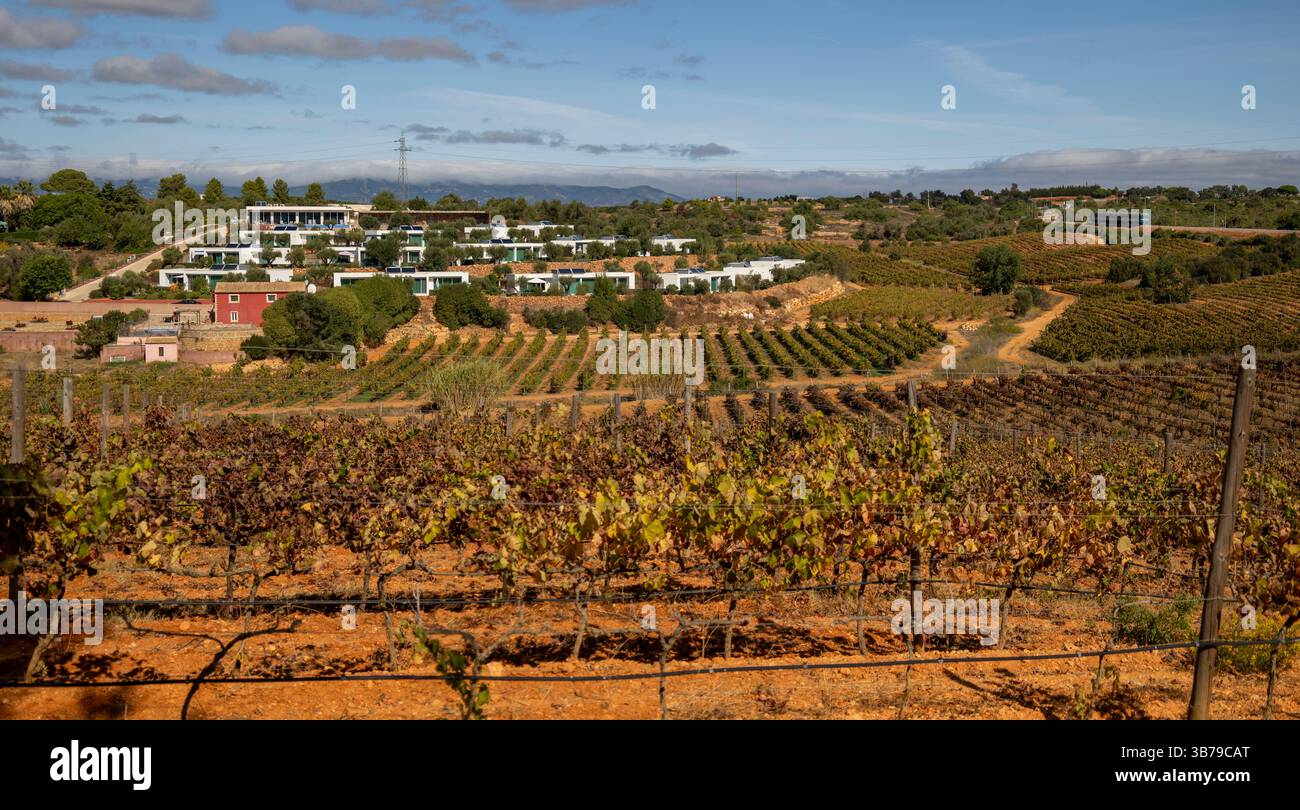 ESTOMBAR, PORTUGAL - 5. OKTOBER 2024: Landschaftsansicht des Weinguts 'Quinta dos Vales' in der Algarve. Stockfoto