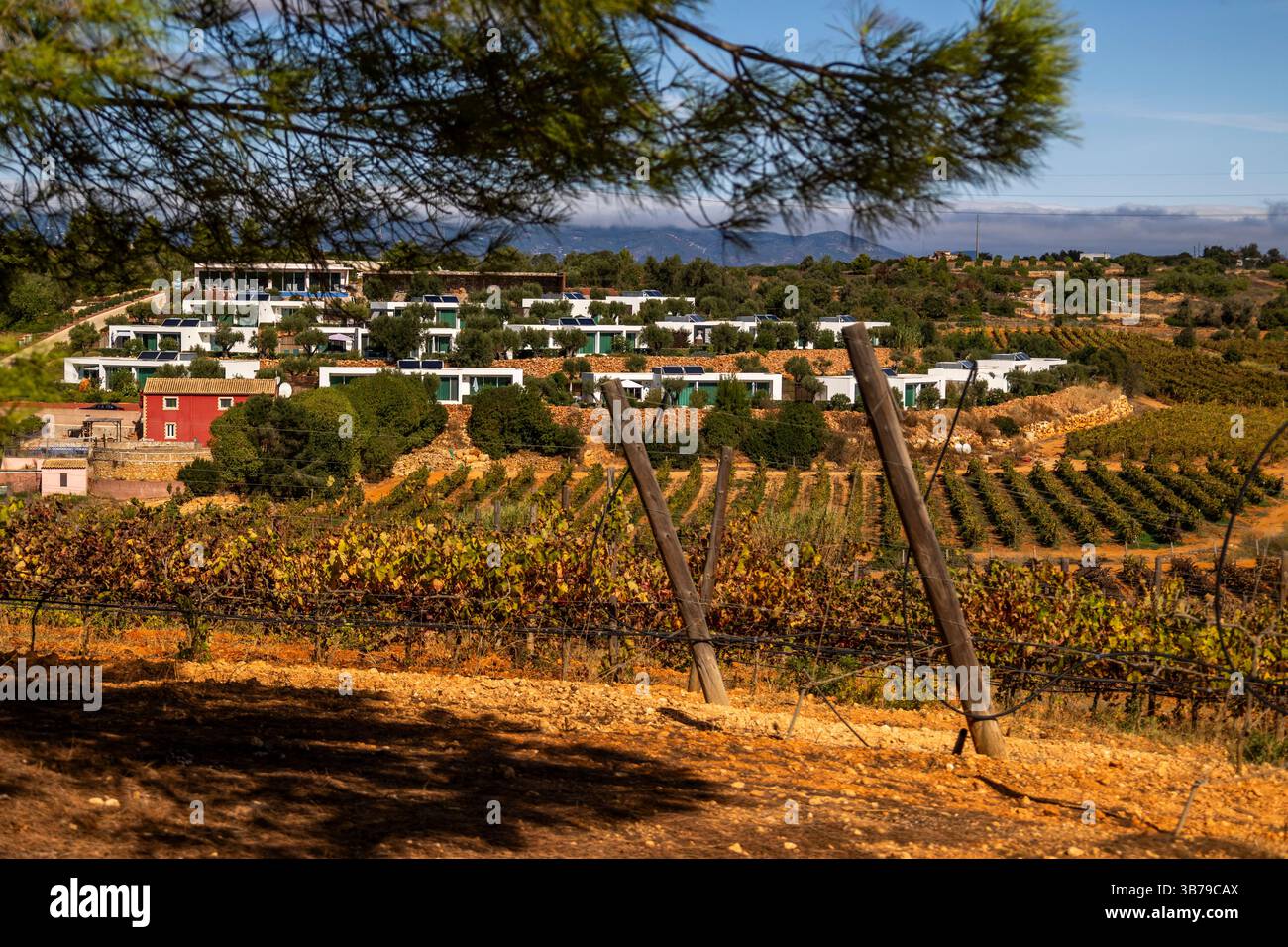 ESTOMBAR, PORTUGAL - 5. OKTOBER 2024: Landschaftsansicht des Weinguts 'Quinta dos Vales' in der Algarve. Stockfoto