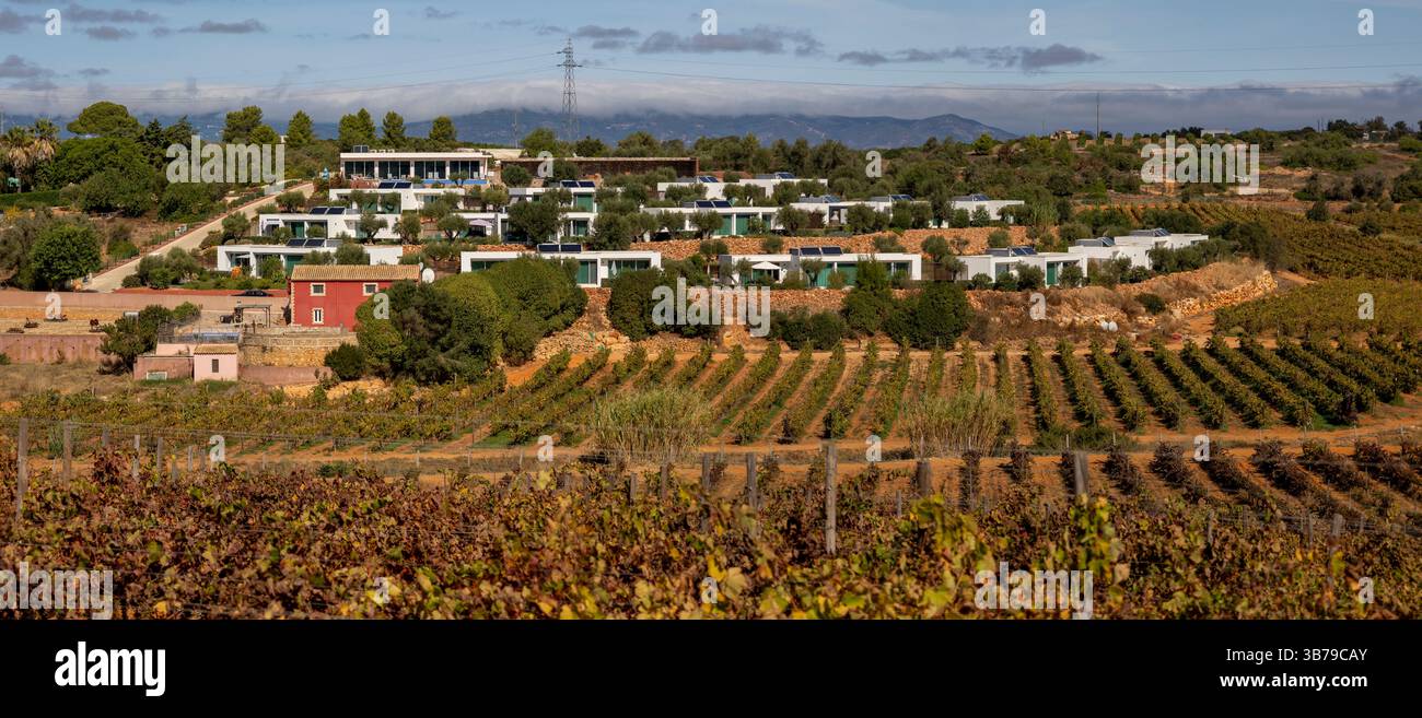 ESTOMBAR, PORTUGAL - 5. OKTOBER 2024: Landschaftsansicht des Weinguts 'Quinta dos Vales' in der Algarve. Stockfoto
