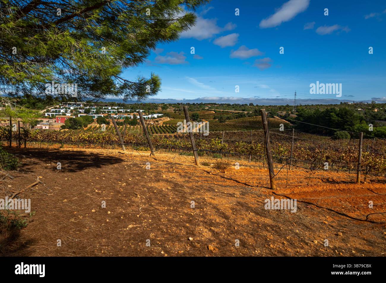 ESTOMBAR, PORTUGAL - 5. OKTOBER 2024: Landschaftsansicht des Weinguts 'Quinta dos Vales' in der Algarve. Stockfoto