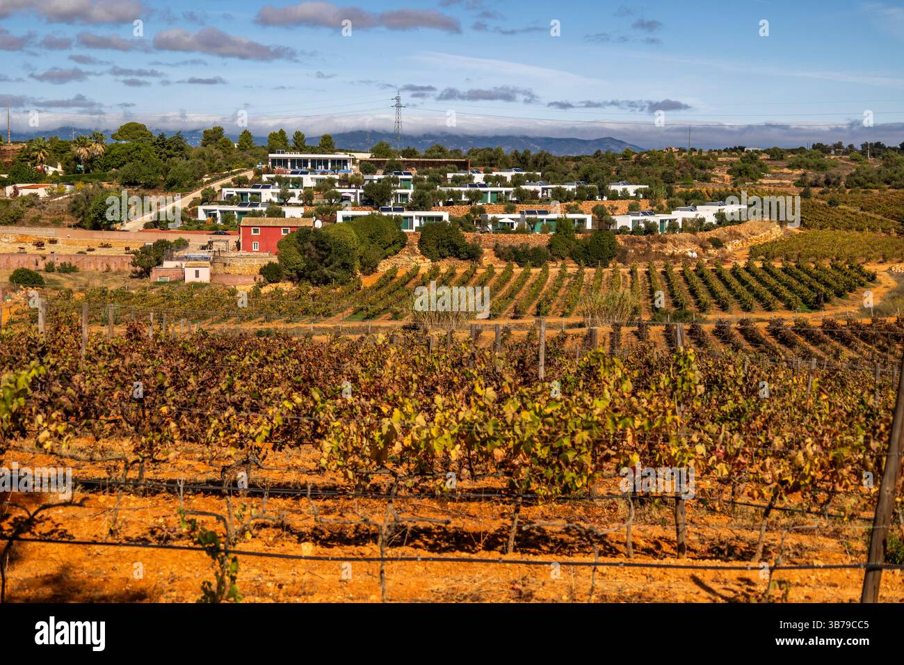 ESTOMBAR, PORTUGAL - 5. OKTOBER 2024: Landschaftsansicht des Weinguts 'Quinta dos Vales' in der Algarve. Stockfoto