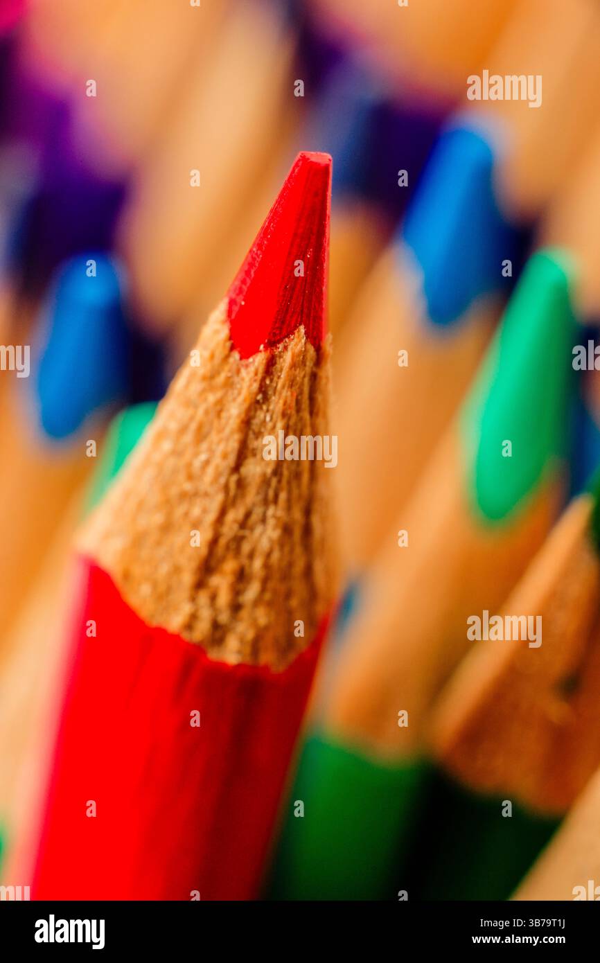 Mehrere Buntstifte gruppiert, balearen spanien. Stockfoto