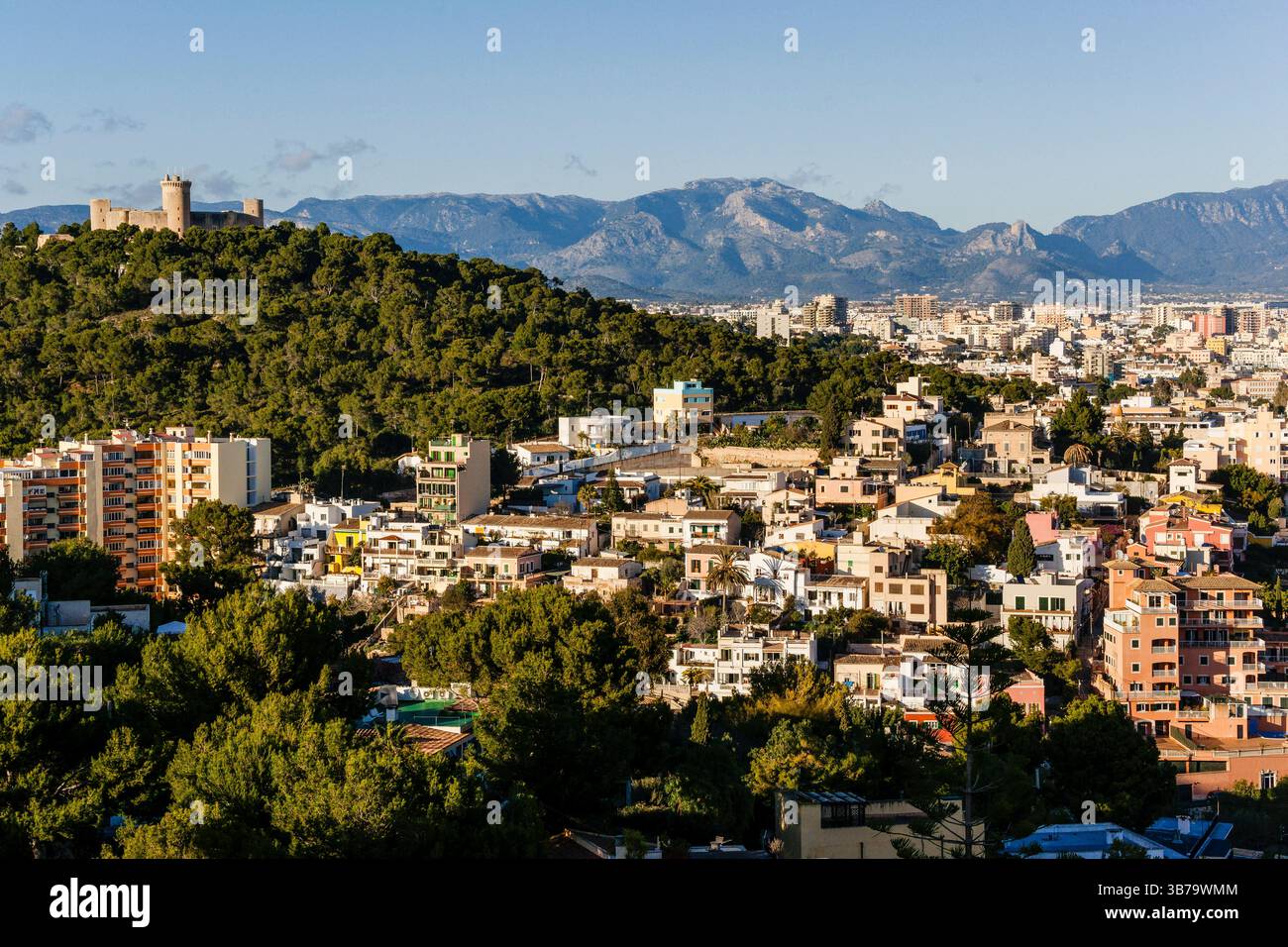 Barrio de El Terreno y Puerto de Palma, Distrito de Poniente, Palma de Mallorca, Balearen, Spanien, Europa. Stockfoto