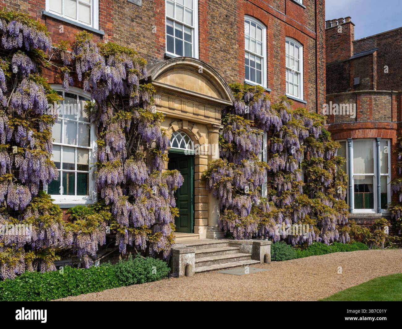 Die Fassade des Peckover House in Glyzinien, Wisbech, Cambridgeshire, Großbritannien Stockfoto