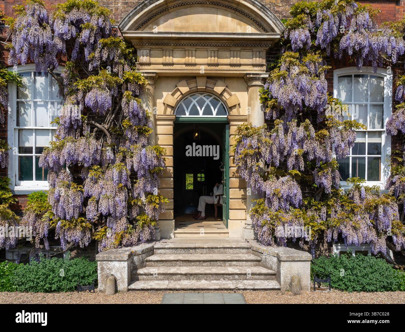 Die Fassade des Peckover House in Glyzinien, Wisbech, Cambridgeshire, Großbritannien Stockfoto