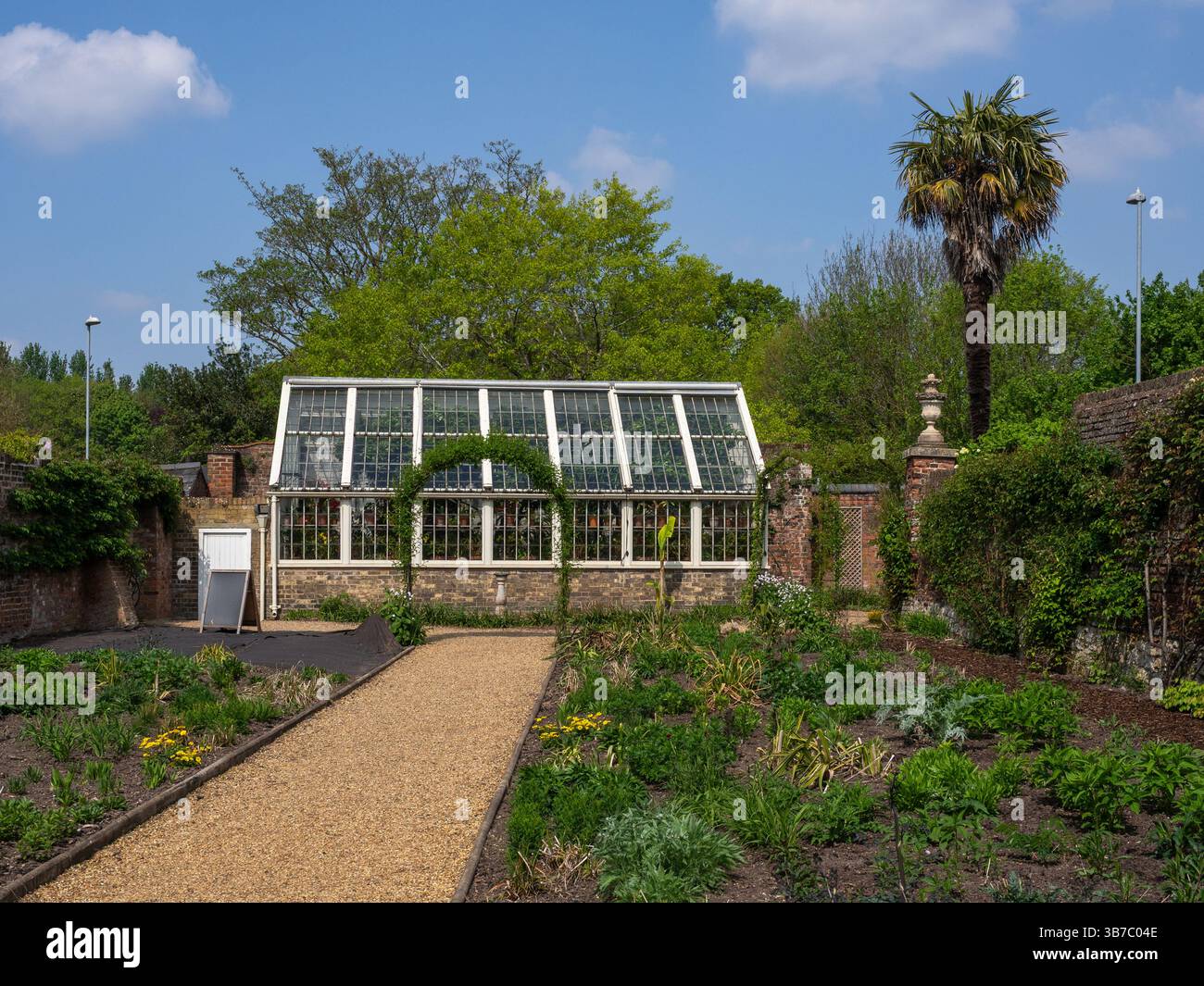 Gepflanzte Grenzen führen zur Orangerie in den Gärten des Peckover House, einem Herrenhaus in Wisbech, Cambridgeshire, Großbritannien Stockfoto