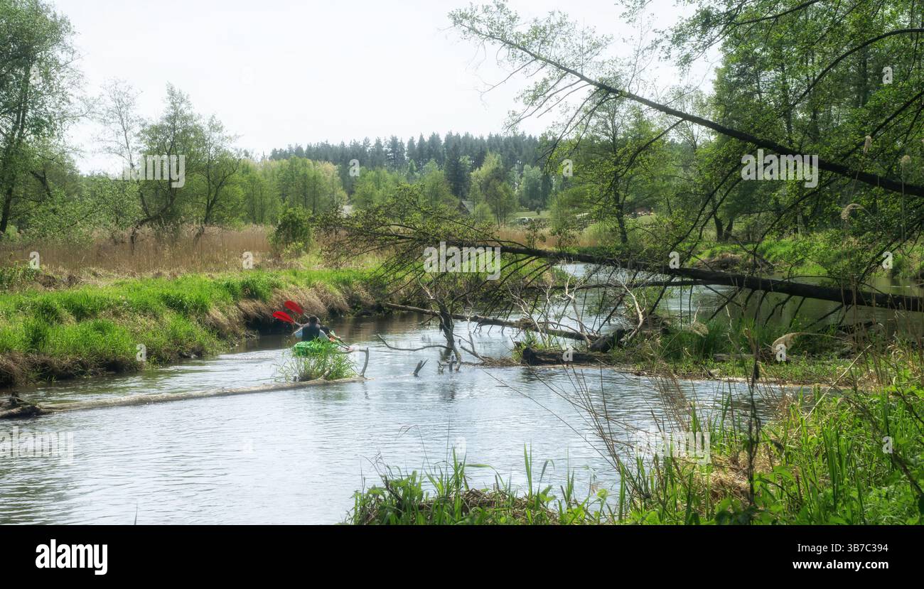 Wildwasser-Kajakfahren im Frühling. Einzelboot mit zwei Personen. Drweca River, Polen, Europa. Stockfoto