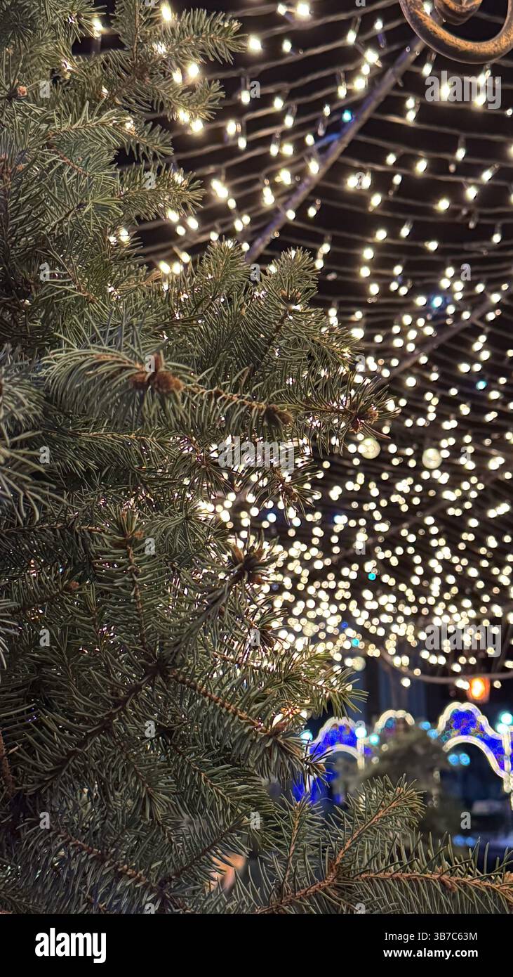 Funkelnde Weihnachtslichter beleuchten die Evergreens bei festlicher Nachtmarktfeier, die fröhlichen Charme und saisonale Wärme ausstrahlen. Stockfoto
