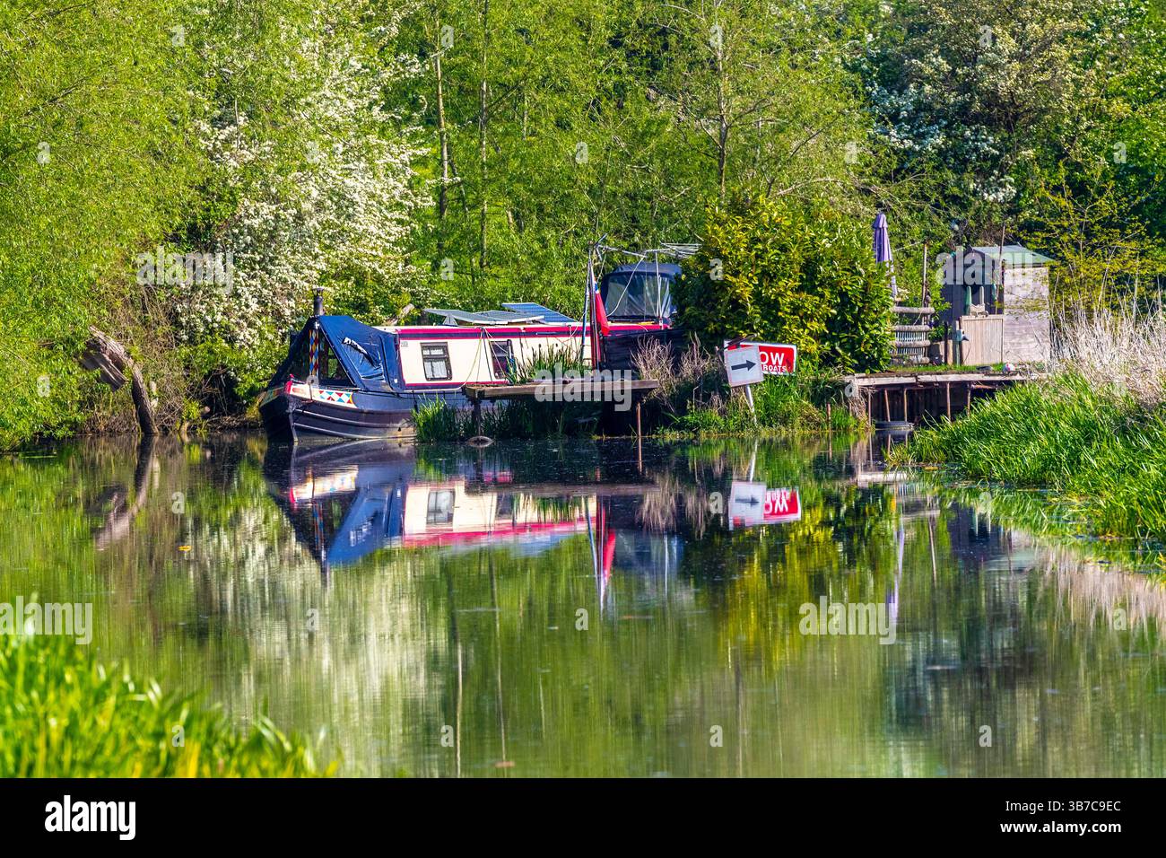 Schmalboote vertäuten am Fluss Nene bei Wooleston Lock in der Nähe von Great Doddington in Northamptonshire. England. UK. Stockfoto