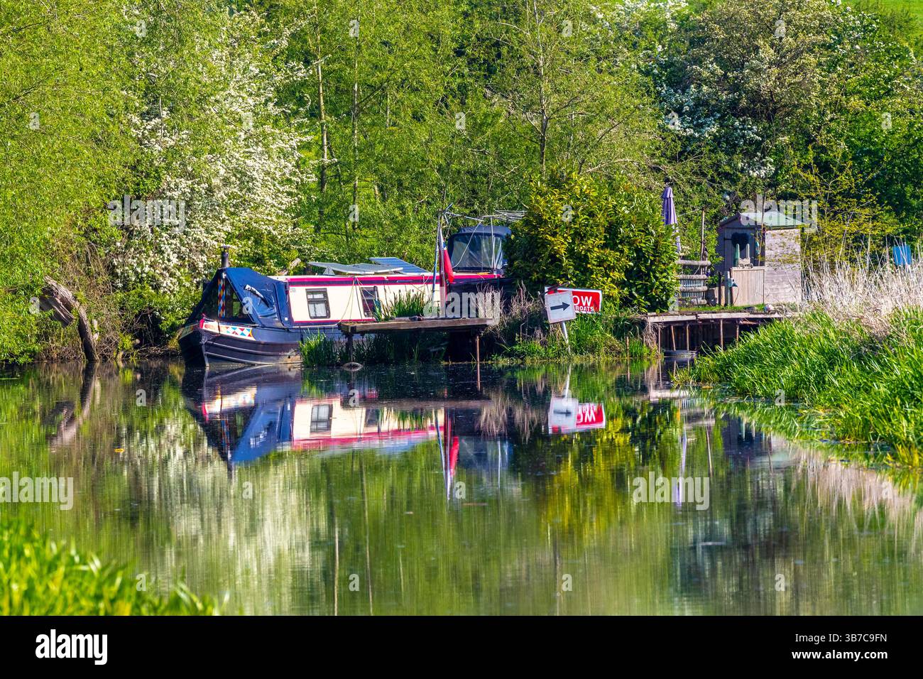 Schmalboote vertäuten am Fluss Nene bei Wooleston Lock in der Nähe von Great Doddington in Northamptonshire. England. UK. Stockfoto