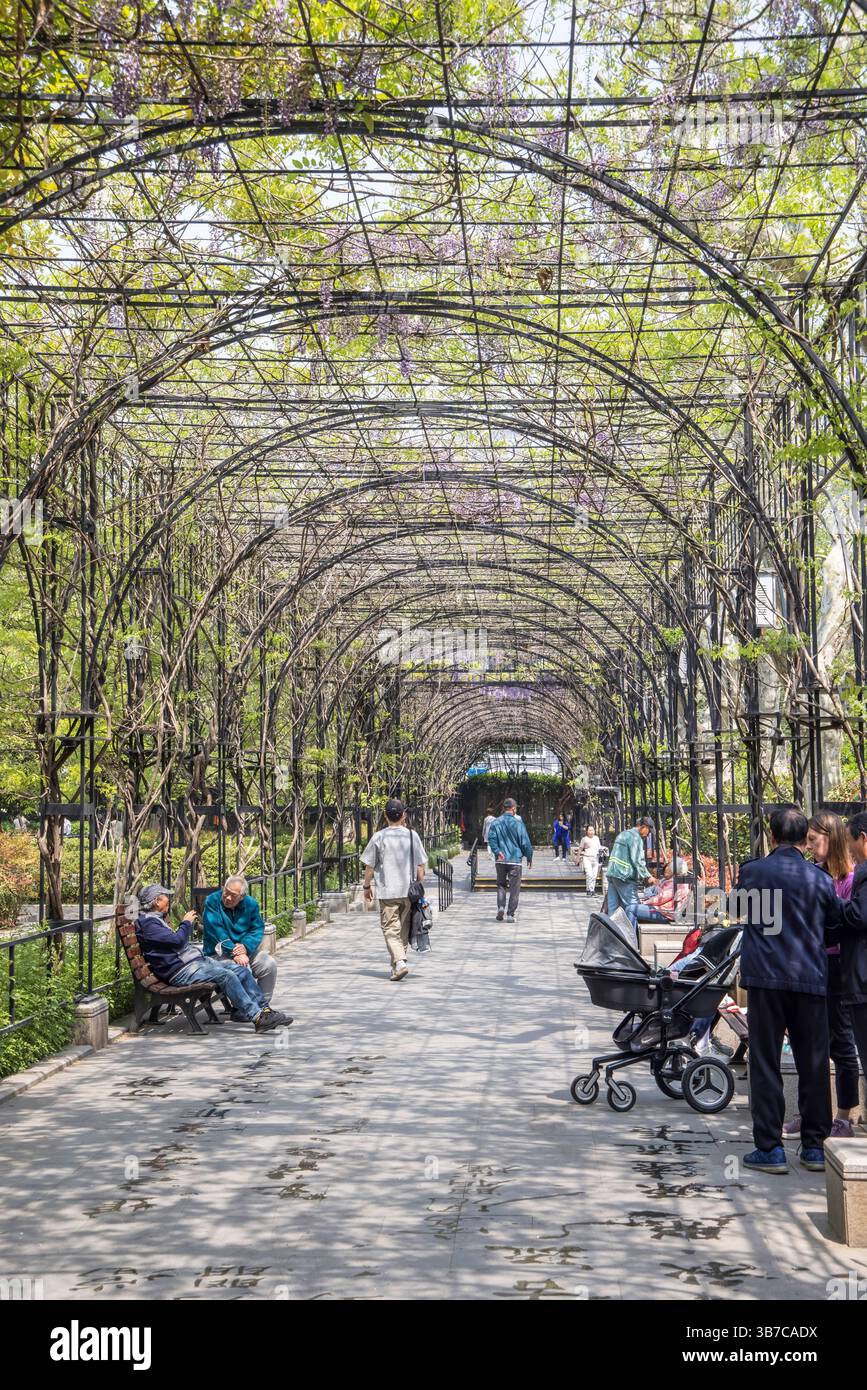 Fußweg im fuxing Park in shanghai china Stockfoto