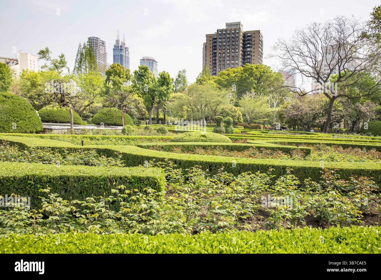 Rosengarten im fuxing Park in shanghai china Stockfoto
