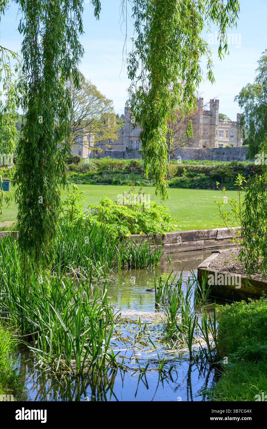 Leeds Castle, in der Nähe von Maidstone, Kent, Großbritannien. Gärten entlang des Woodland Walk zwischen dem Eingang und der Burg Stockfoto