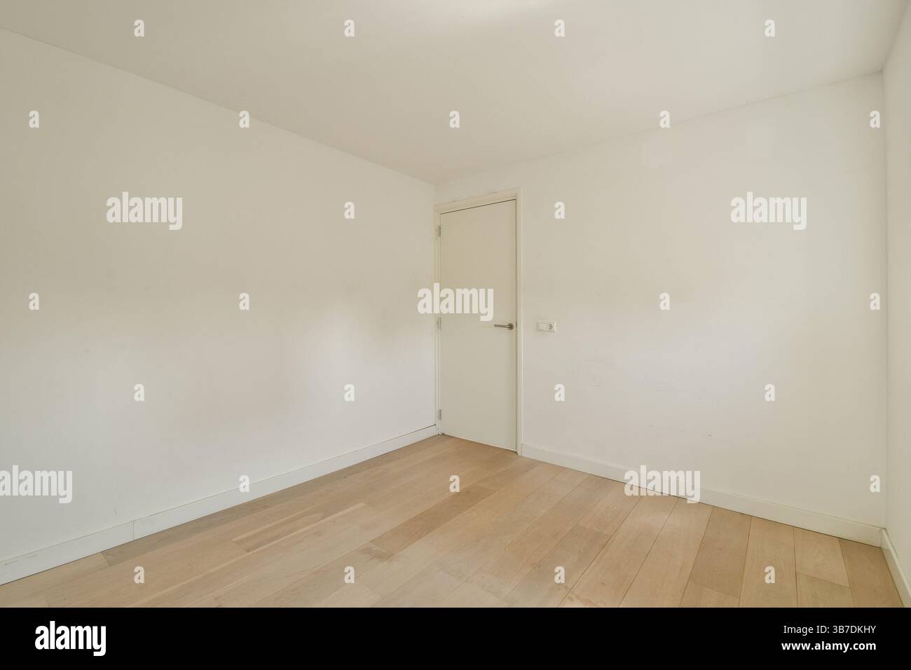 Ein geräumiges und minimalistisches Interieur mit schlichten weißen Wänden und Holzfußboden schafft eine ruhige Atmosphäre, ideal für verschiedene Zwecke. Stockfoto