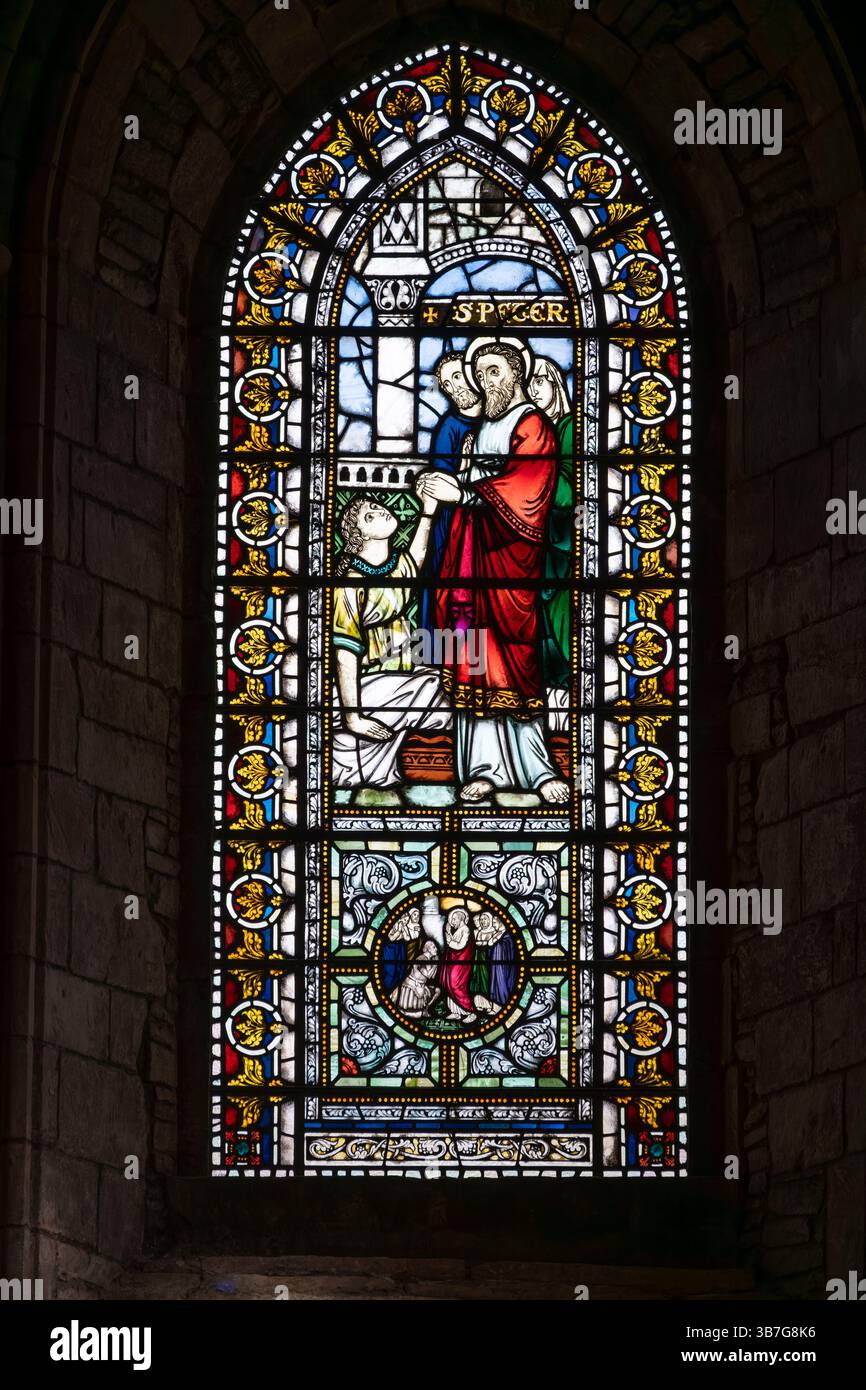 Buntglasfenster in der St. Magnus Cathedral, einem herrlichen Sandsteingebäude im Zentrum von Kirkwall in Orkney Stockfoto