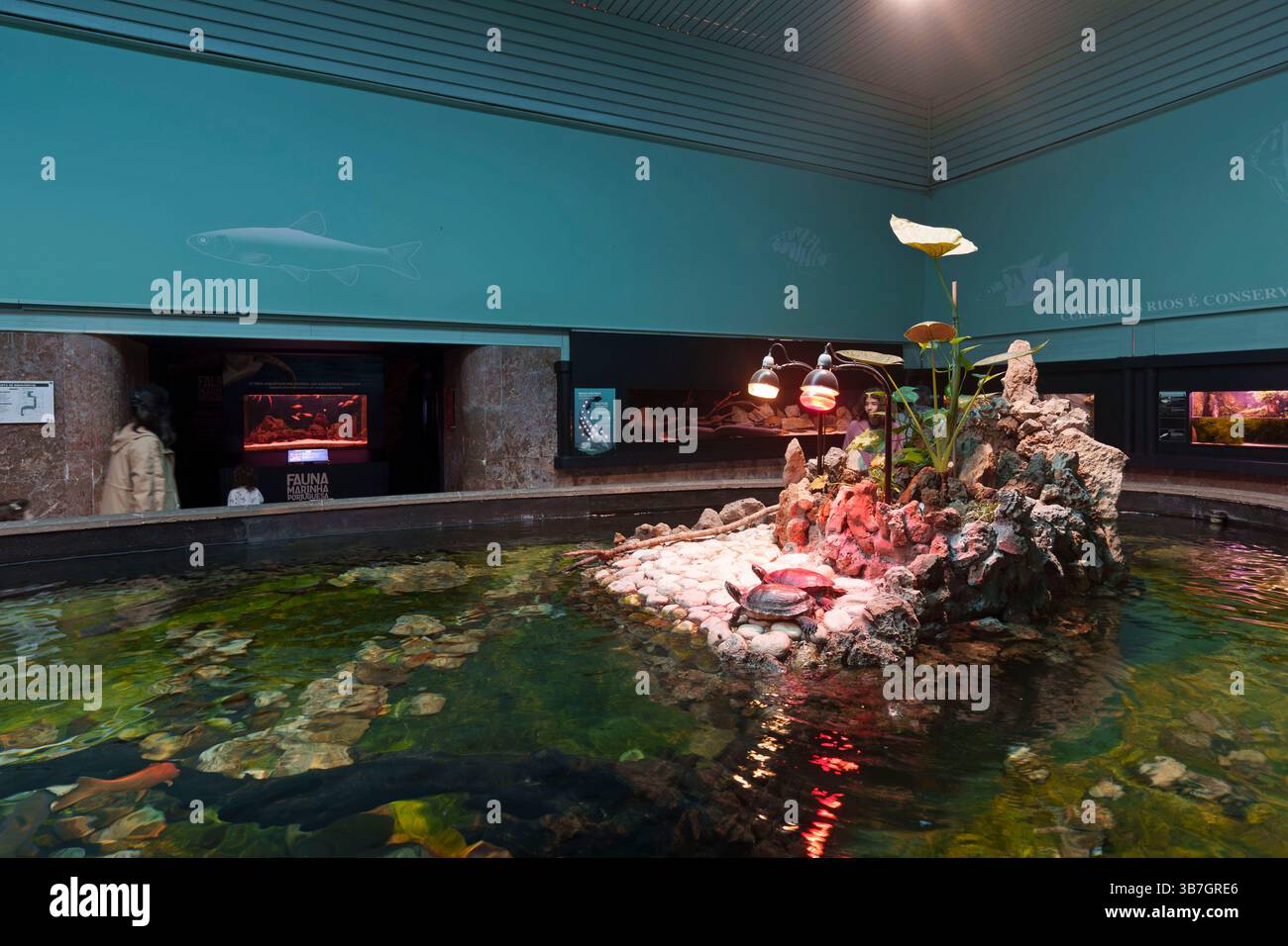 Innenausstellung mit einer zentralen Wasserschau mit vielfältiger Unterwasserwelt im Aquarium Aquário Vasco da Gama in Lissabon, Portugal, Europa Stockfoto