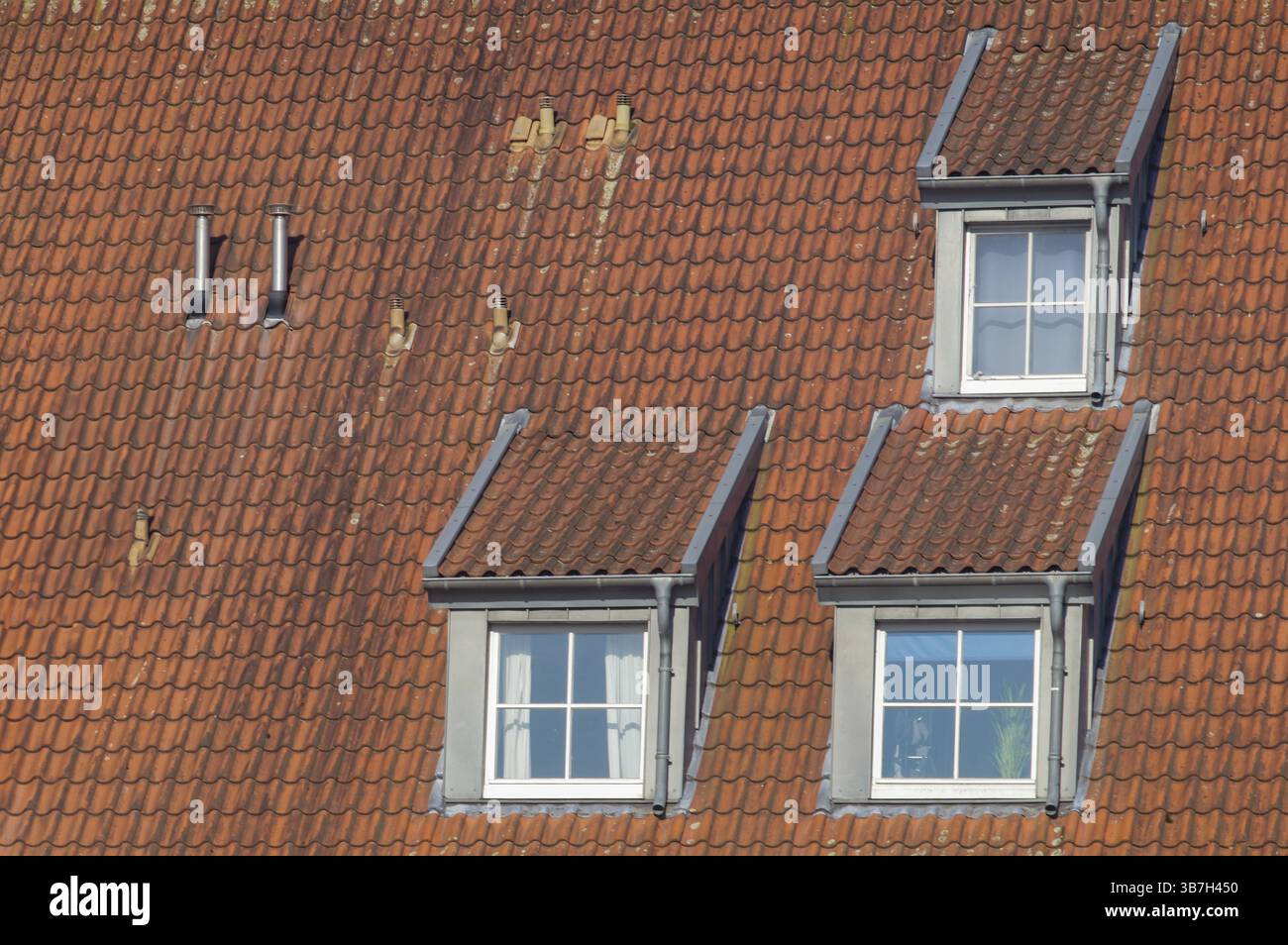 Nahaufnahme eines schrägen Dachs mit roten Tonziegeln, drei Dachfenstern und zwei Schornsteinen Stockfoto