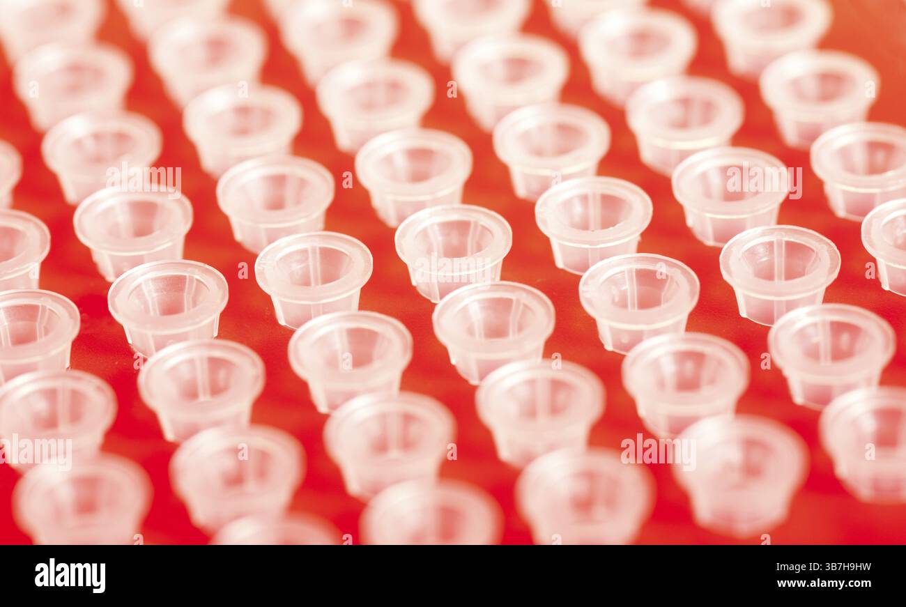 Kleine Kunststoffröhrchen im Rack Stockfoto