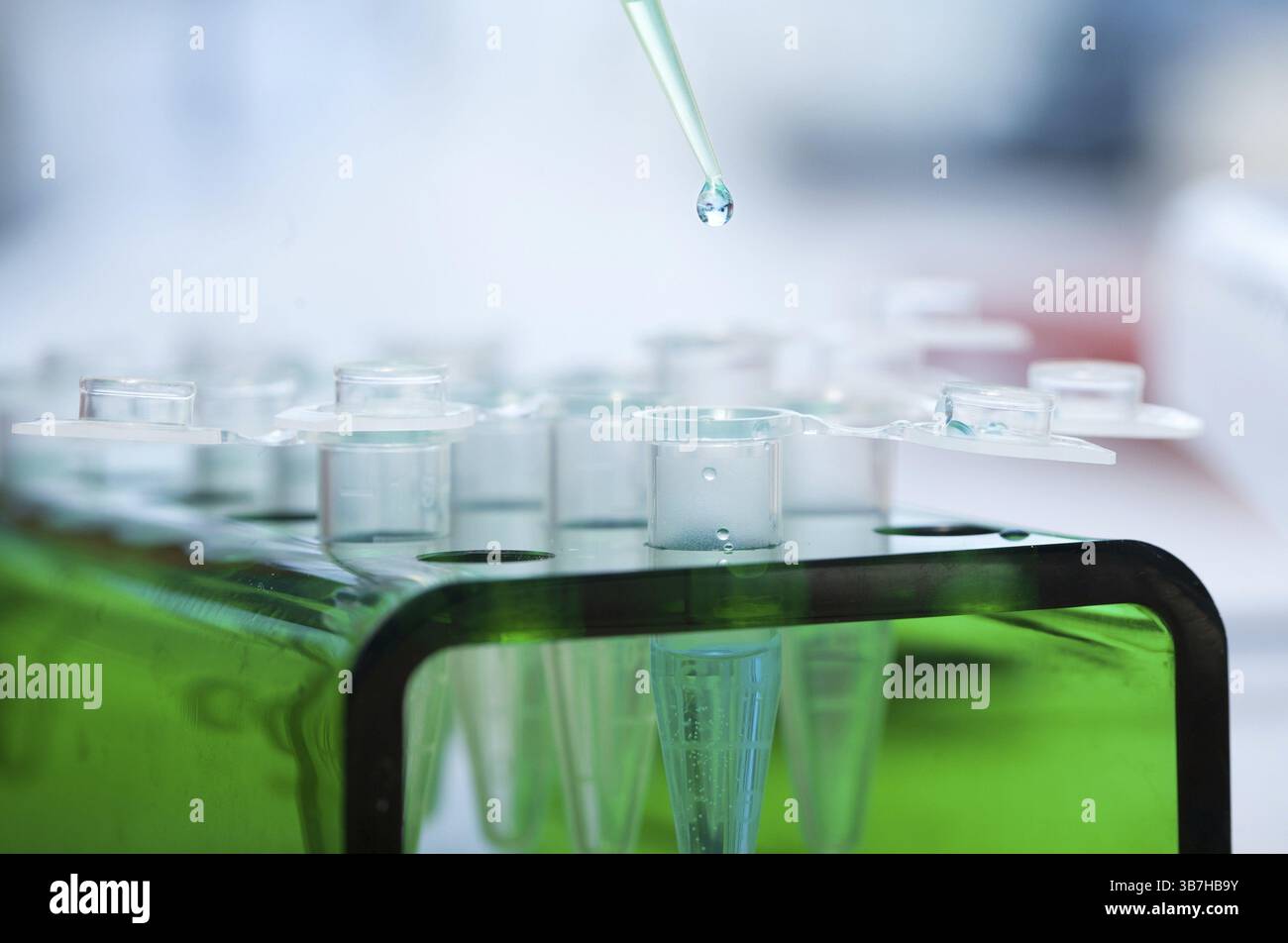 Arbeitsplatz modernes Labor für molekularbiologische Tests Stockfoto