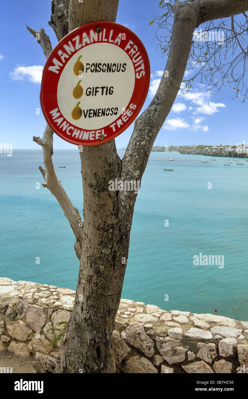 Warnschild Warnung vor dem Verzehr tödlicher giftiger Früchte Strandapfel von Manchinelbaum (Hippomane mancinella) Manzanilla de la muerte Stockfoto