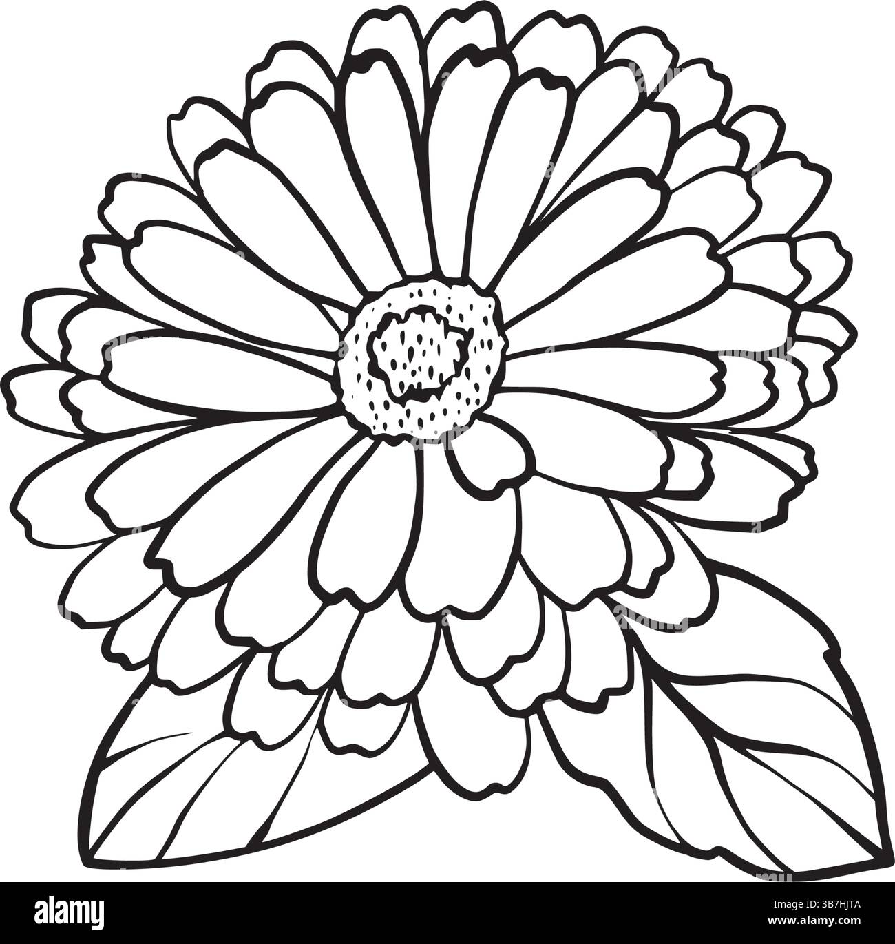 Vektorlinie Kunst der Ringelblume und Knospe auf weißem Hintergrund. Perfekt für pflanzliche Verpackungen, Kosmetiketiketten, Tätowierungsskizzen, botanische Drucke und umweltfreundliche Branding-Designs. Stock Vektor