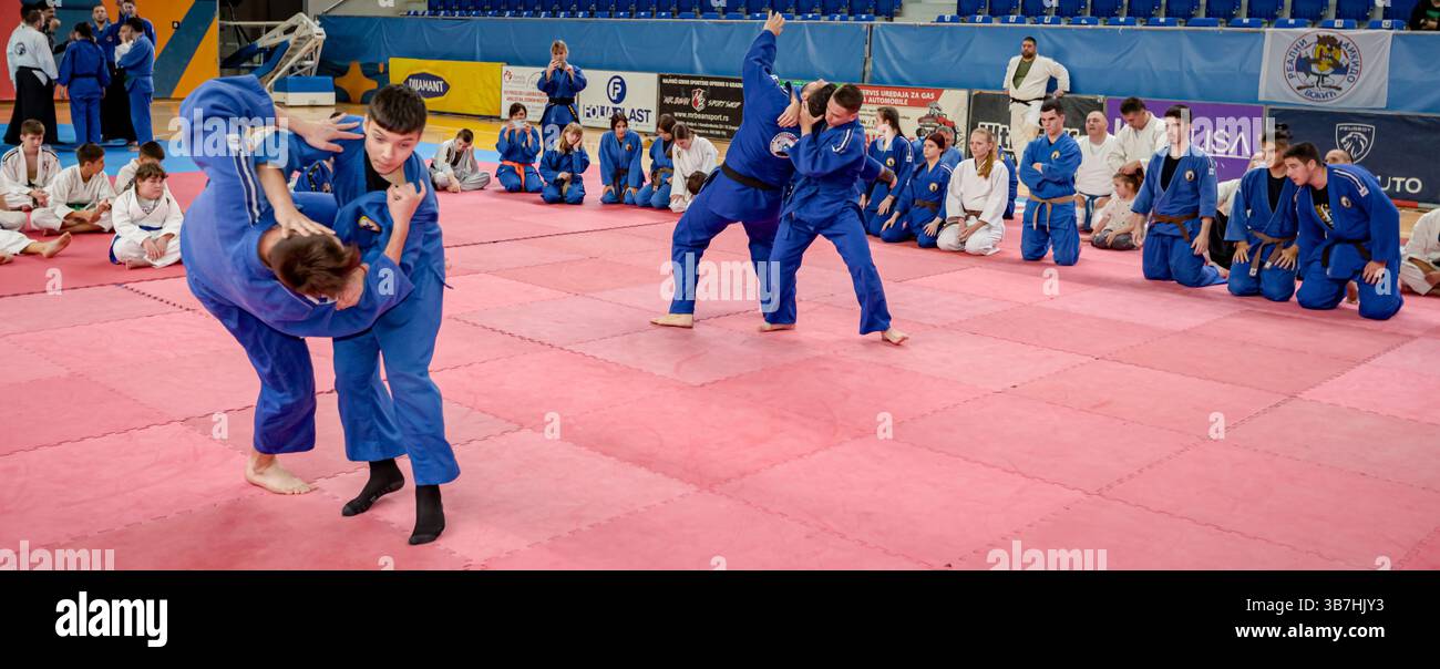 Zrenjanin, Vojvodina, Serbien - 27. April 2025: Seminar des echten Aikido im Kampfsportverein 'Real Aikido Zrenjanin 1995', Studenten werden demonstriert l Stockfoto