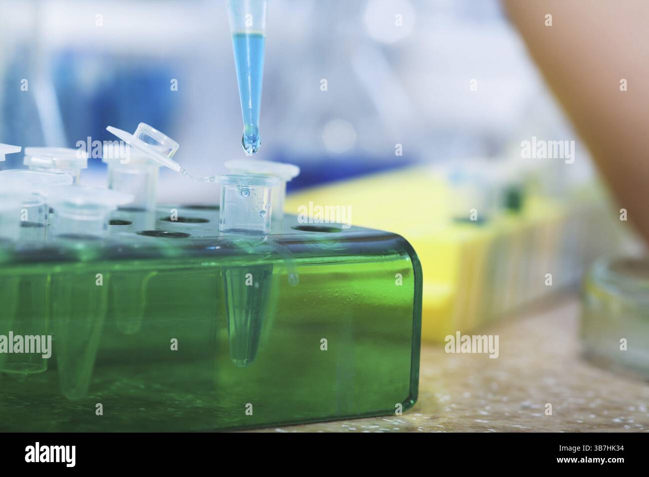Arbeitsplatz modernes Labor für molekularbiologische Tests Stockfoto