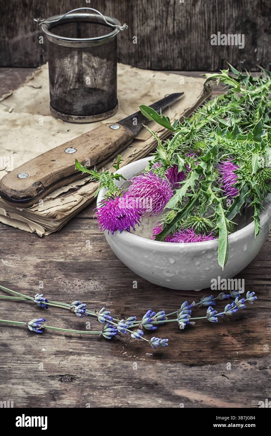 Die getrockneten Heilkräuter traditionelle Medizin und Keramikmörtel zusammengesetzt Stockfoto