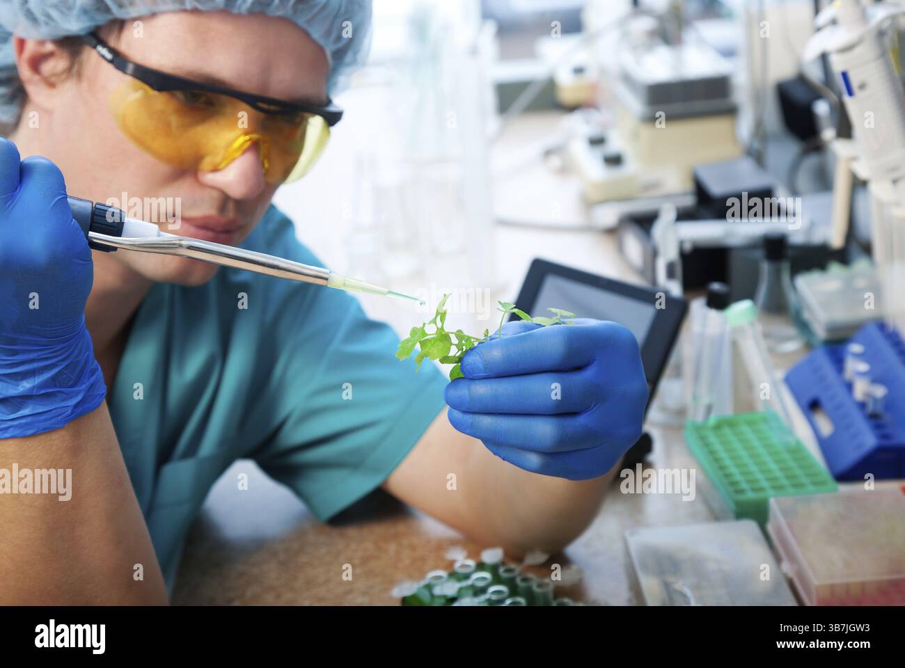Wissenschaftler mit grüner Pflanze im modernen Labor Stockfoto