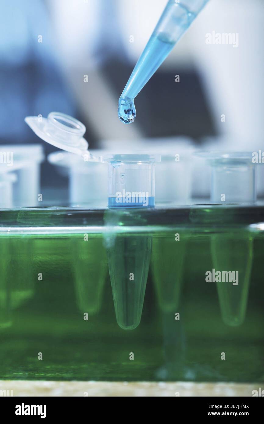 Arbeitsplatz modernes Labor für molekularbiologische Tests Stockfoto