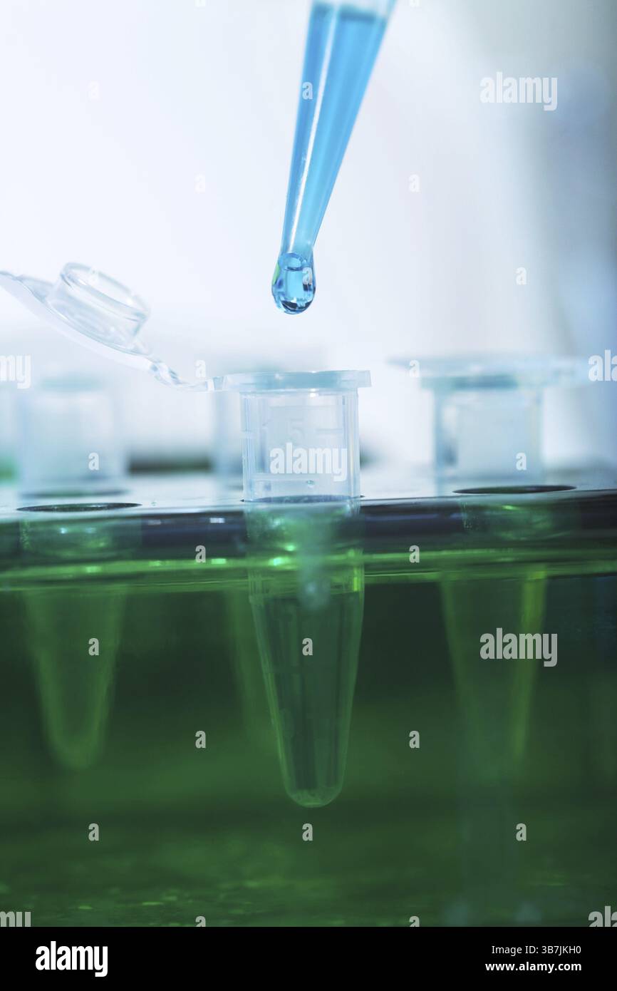 Arbeitsplatz modernes Labor für molekularbiologische Tests Stockfoto