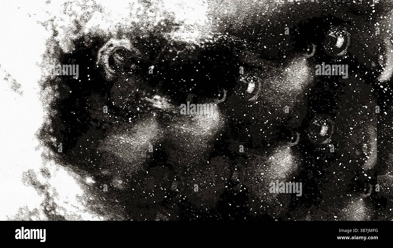 Abstrakter Galaxienhintergrund in Schwarz-weiß, mit wirbelnden kosmischen Staub, Sternen und ätherischen Nebeln. Weißrussland Stockfoto