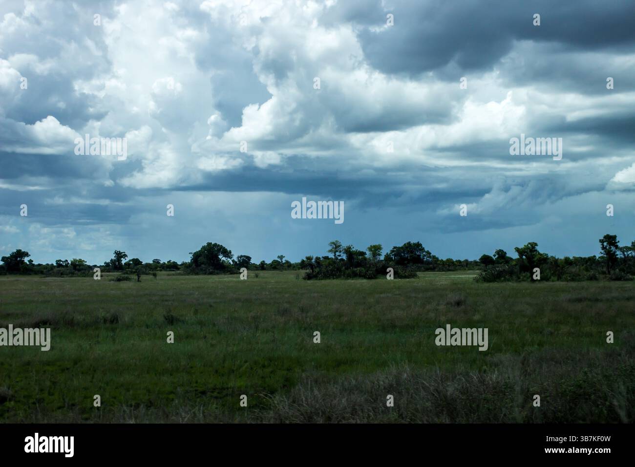 Dunkle Sturmwolken sammeln sich über der bewaldeten Savanne der mosambikanischen Küstenebene. Stockfoto