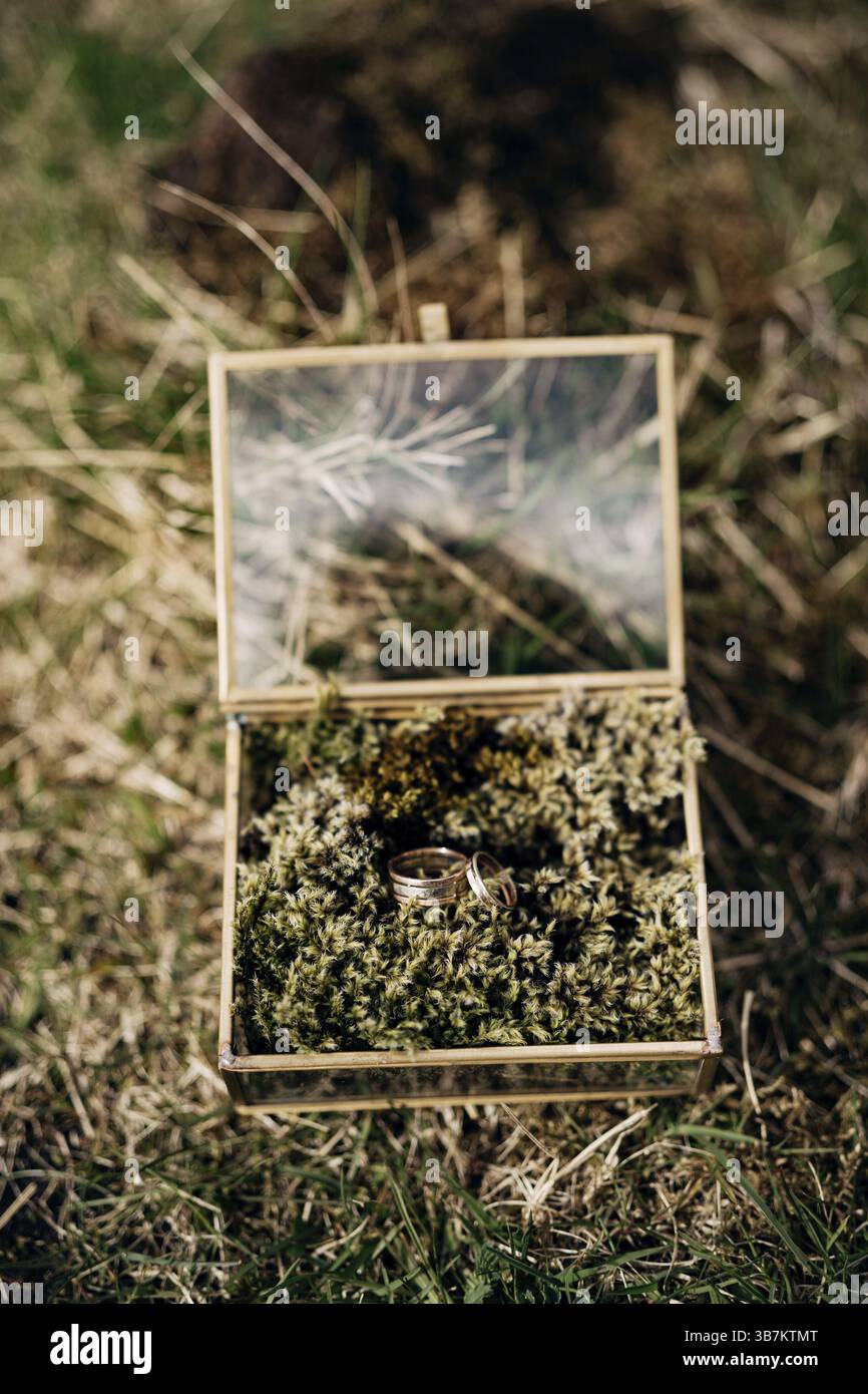 Die Eheringe der Braut und des Bräutigams in der Spiegelbox auf dem grünen Gras. Stockfoto